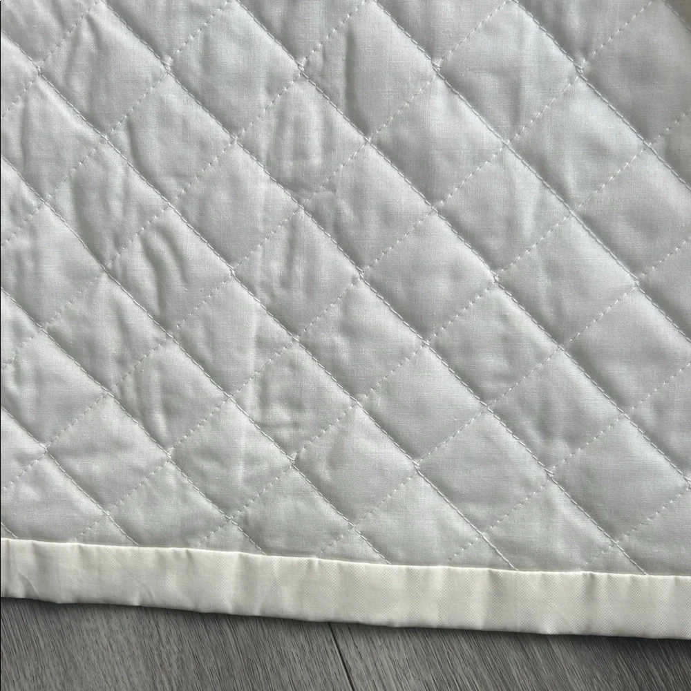 Burberry stylish pea